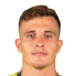 达尔加希